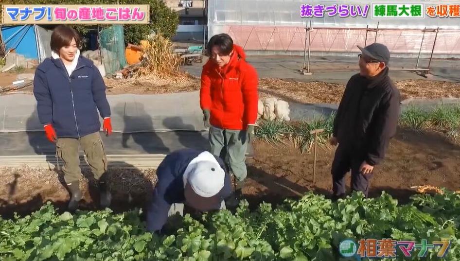 《相叶学》二宫和也带你了解世界美食文化，惊喜不断的美食之旅