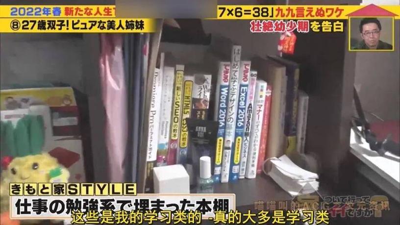 手绘插图版最好看的日本综艺节目排名表，看完涨姿势