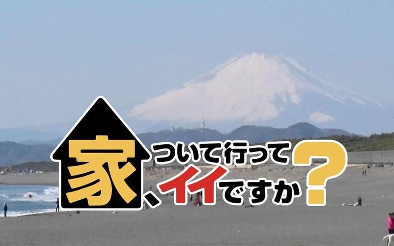 日本搞笑综艺节目排名大全揭秘，这些节目为何如此火爆？